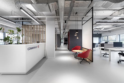 简约凝练 数据管理公司Commvault荷兰办公设计欣赏